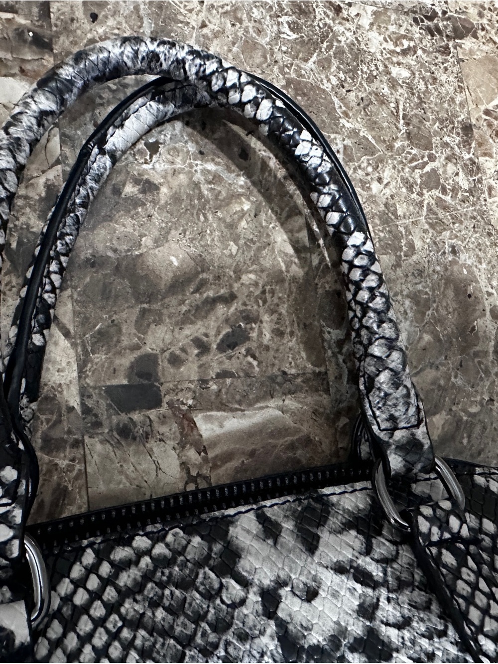 Aldo python print dome - Picture 8 of 9